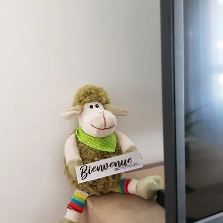 Le Pompidou T2 Pour 2 à 4 Pers Avec Parking Privé&balcon Place Ney Apartamento *