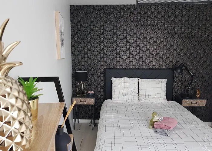 Le Pompidou T2 Pour 2 A 4 Pers Avec Parking Prive & Balcon Place Ney * Angers