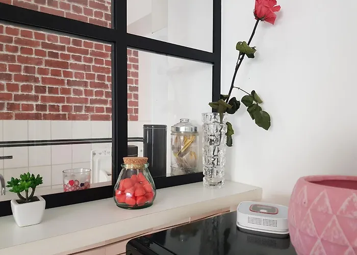 Le Pompidou T2 Pour 2 A 4 Pers Avec Parking Prive & Balcon Place Ney Angers