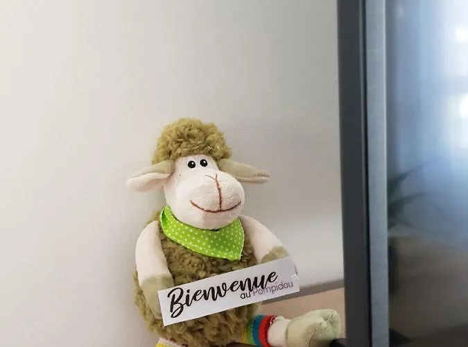 Le Pompidou T2 Pour 2 A 4 Pers Avec Parking Prive & Balcon Place Ney Apartament *